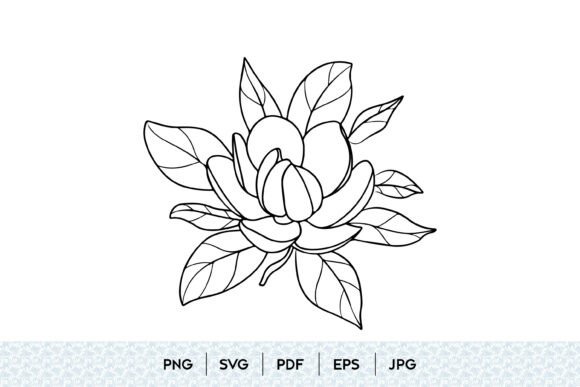 Exploring the Elegance of Magnolia Flower Bloom SVG