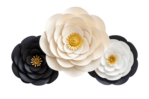 Three Paper Flowers Isolated PNG: A Designer's Delight