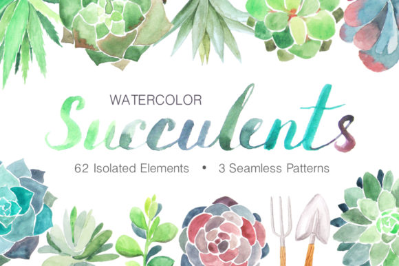 Watercolor Succulents Collection: A Designer's Botanical Toolkit