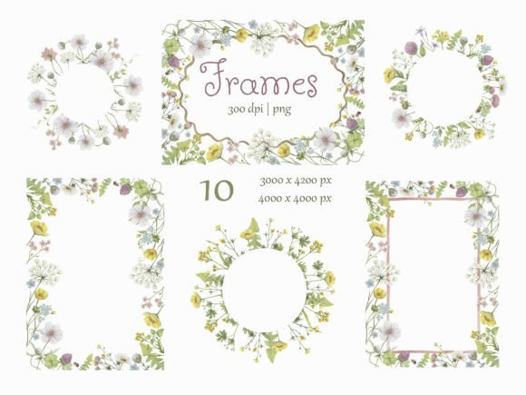Watercolor Wildflowers Frames: A Botanical Collection